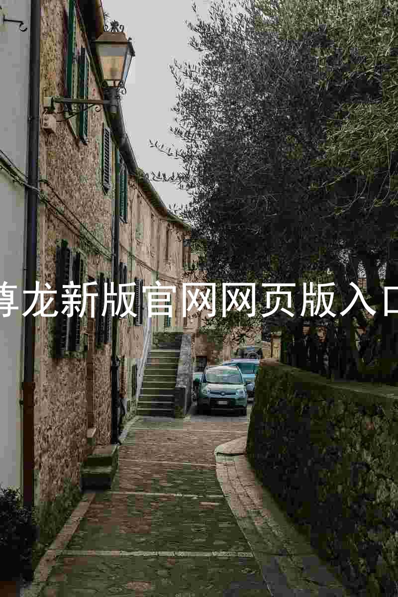尊龙新版官网网页版入口
