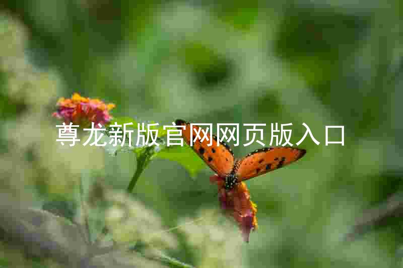尊龙新版官网网页版入口