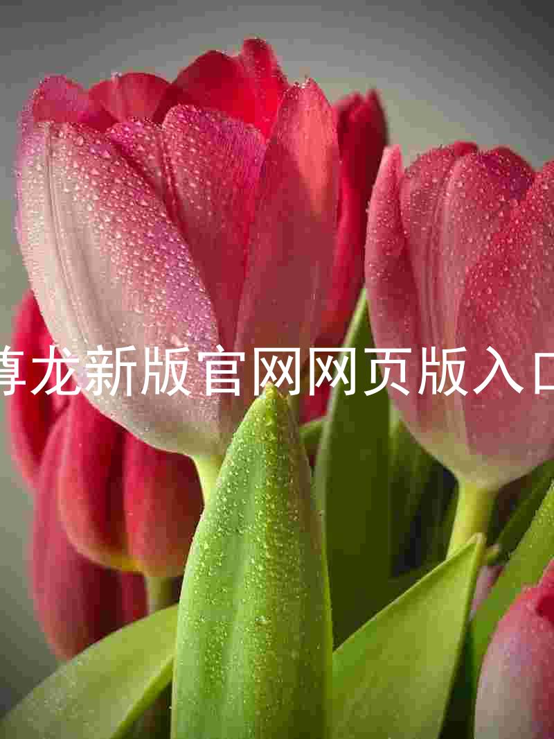 尊龙新版官网网页版入口