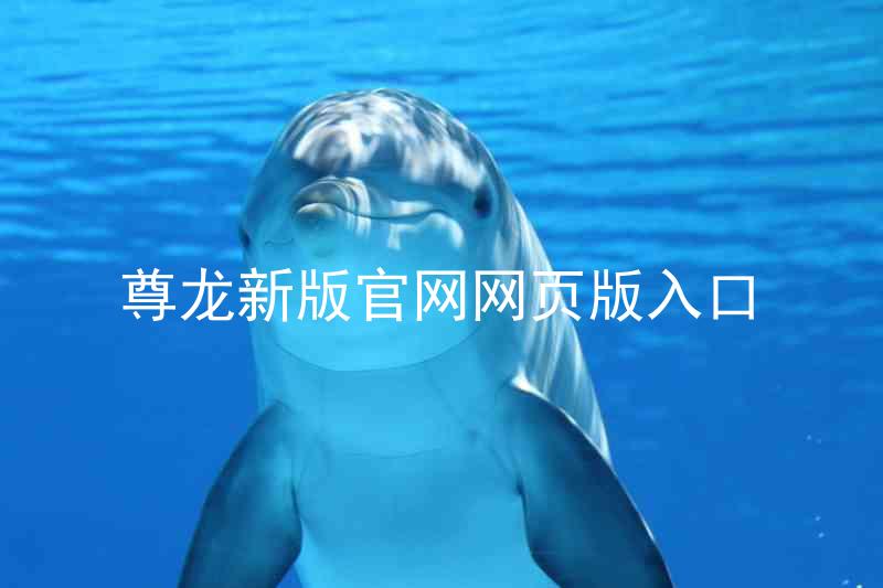 尊龙新版官网网页版入口