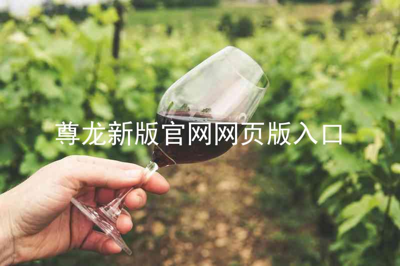 尊龙新版官网网页版入口